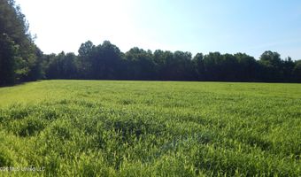 500 Cr 247 Country Rd, Bruce, MS 38915