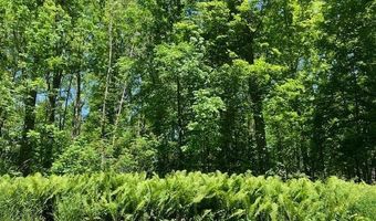 TBD MAPLE ISLE COURT UNIT 32, Alanson, MI 49706