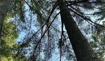 5896 Lake May Dr NW, Akeley, MN 56433