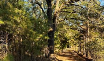 421041 E 1945 Ln, Antlers, OK 74523