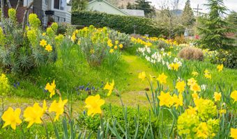 826 Holly St, Ashland, OR 97520
