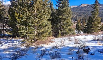 3553 RIVER Dr, Alma, CO 80420