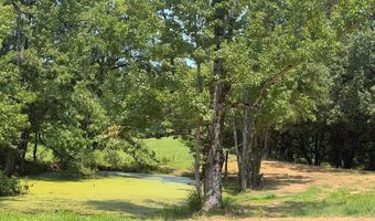1172 Jeff Sanders Rd, Batesville, MS 38606