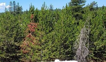 29222 N 1st St, Athol, ID 83801