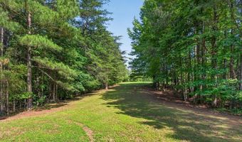 2025 Soap Creek Rd, Ball Ground, GA 30107
