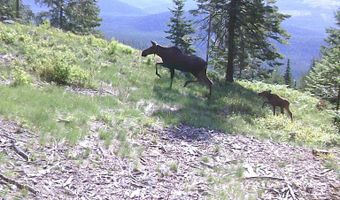 8694 Meadow Creek Rd, Bonners Ferry, ID 83805