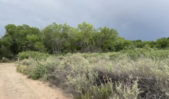 Winery Road, Bosque, NM 87006