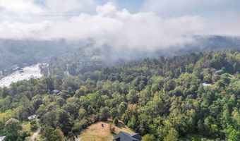 19 Woodchuck Cove Way, Alexander, NC 28701