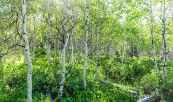 CARROLL Lane, Daniel, WY 83115