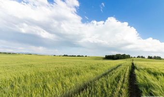 Tbd E 1400 N, Ashton, ID 83420