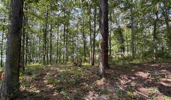 0 GIBSON COVE Dr 3 Acres, Ashville, AL 35953