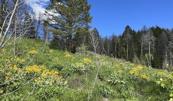 Tbd Nwne DEER HAVEN Road, Bondurant, WY 82922