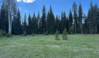 Nhn Old Mill Road, Bigfork, MT 59911