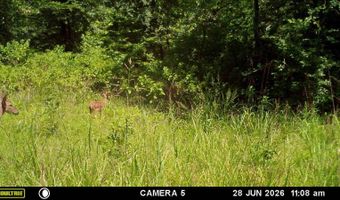 East Highway 3, Atoka, OK 74525