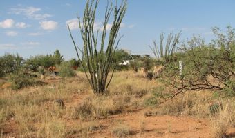16415 S Shoshone Trl 317, Benson, AZ 85602
