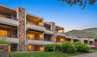 301 E Hyman Ave 202, Aspen, CO 81611