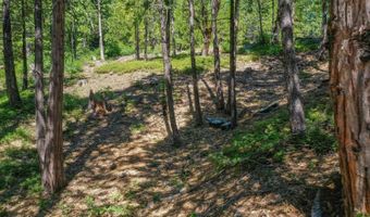 2690 Cheyenne Way, Arnold, CA 95223