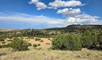 Pope Valley Ranch Rd lot 24, Beulah, CO 81023
