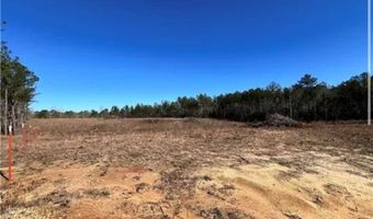 1 Mixon Rd, Amite, LA 70422