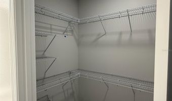 619 Pothos St, Apopka, FL 32703