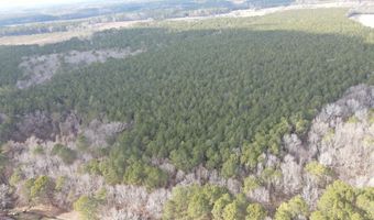 Tbd Highway 461, Ahoskie, NC 27910