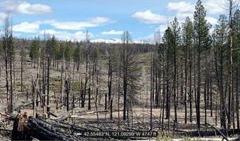 Hicks Rd, Bly, OR 97622