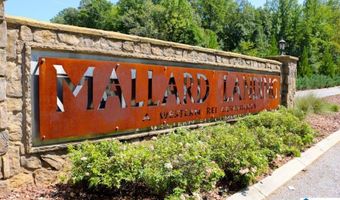 1079 GADWALL Dr, Alabaster, AL 35007