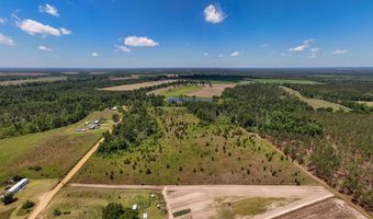 Lot # 2 - 6.2 Ac Perry Horton, Adrian, GA 31002