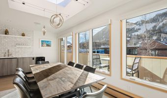 447 E Cooper Ave 1, Aspen, CO 81611