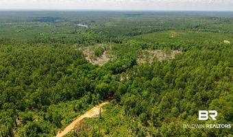 Joe Hall Road, Bay Minette, AL 36507
