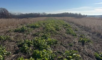 560 Th Ave, Albia, IA 52531