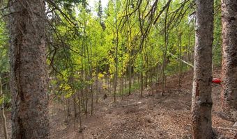452 QUARTZVILLE Rd, Alma, CO 80420