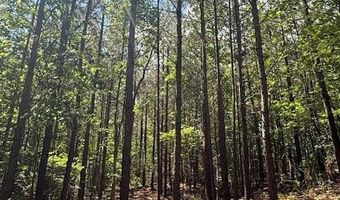0- Lot 5 Piney Mountain Rd, Appomattox, VA 24522