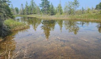 3305 El Cajon, Alpena, MI 49707