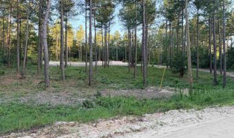 317 Tarpon Rd, Batesburg, SC 29006