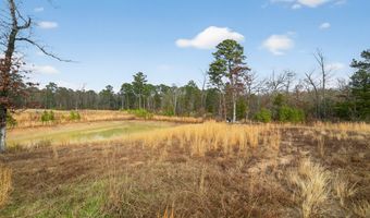 868 County Road 2920, Alba, TX 75410