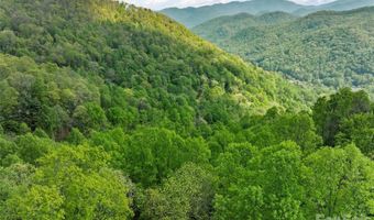Jacks Knob Road 49, Barnardsville, NC 28709