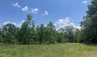 Co Rd 304, Ava, MO 65608