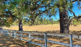 61250 Hwy 74, Mountain Center, CA 92561