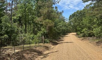 County Road 244 Tract A, Abbeville, MS 38601