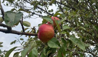 27450 SW 32nd Rd, Beatrice, NE 68319