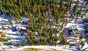 1013 RANGE Rd, Breckenridge, CO 80424