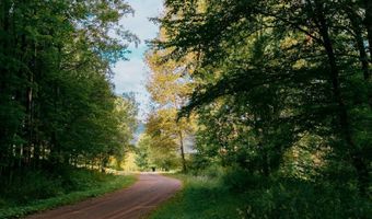 0 Weidick Rd, Andes, NY 13731