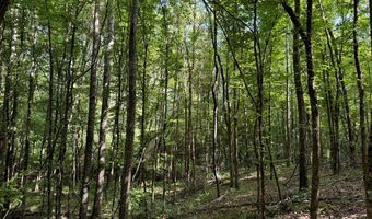 1365 Mickle Smith Trl, Bogue Chitto, MS 39629