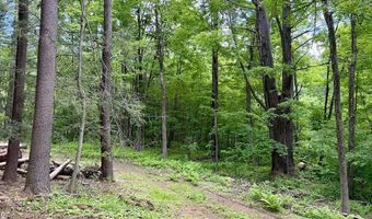 Great Hollow Road, Cornwall, CT 06753