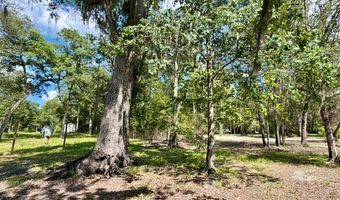 1109 NW 78th Ave, Bell, FL 32619