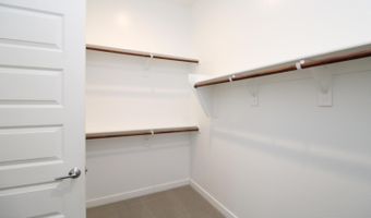 259 E Sagittarius Pl, Chandler, AZ 85249