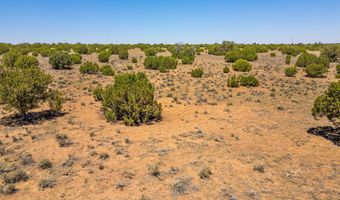 County Road 8643 188, Concho, AZ 85924