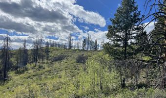 Tbd Nwne DEER HAVEN Road, Bondurant, WY 82922