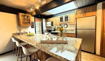 1034 E COOPER Avenue 19, Aspen, CO 81611